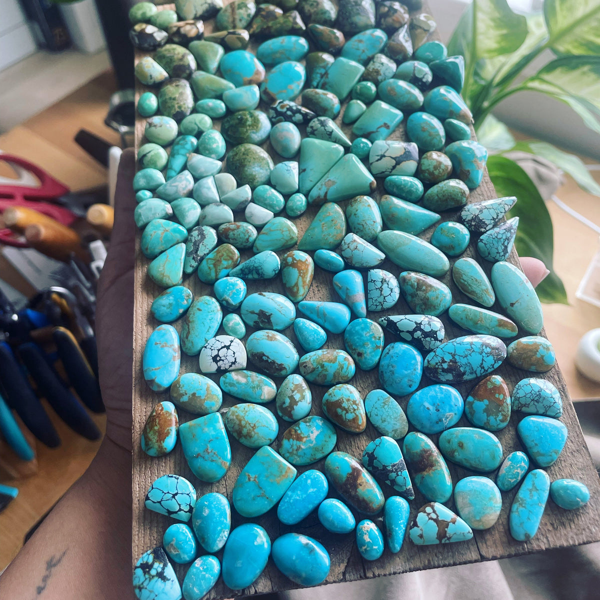 The Turquoise Collection