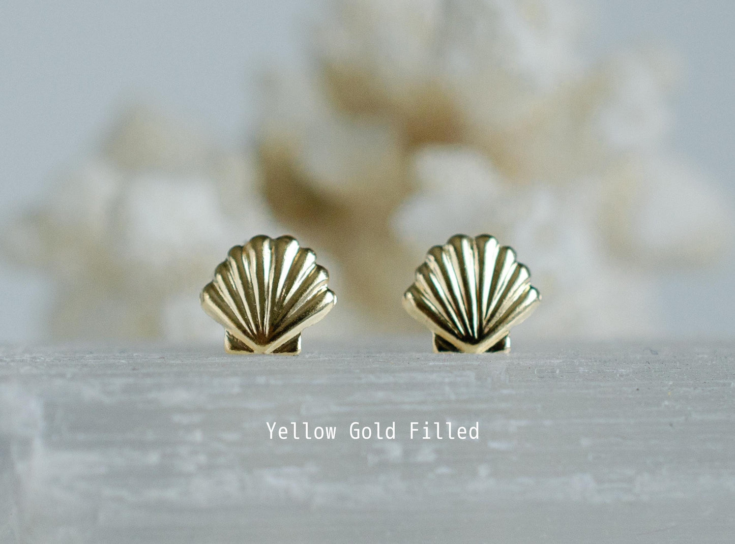 Seashell studs earrings