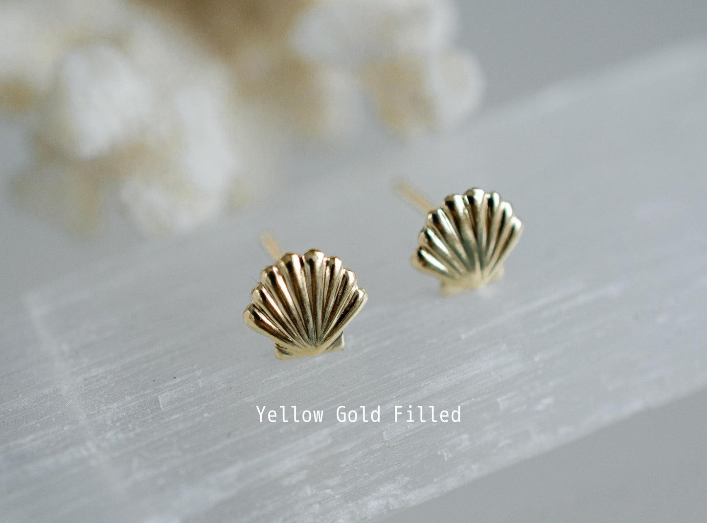 Seashell studs earrings