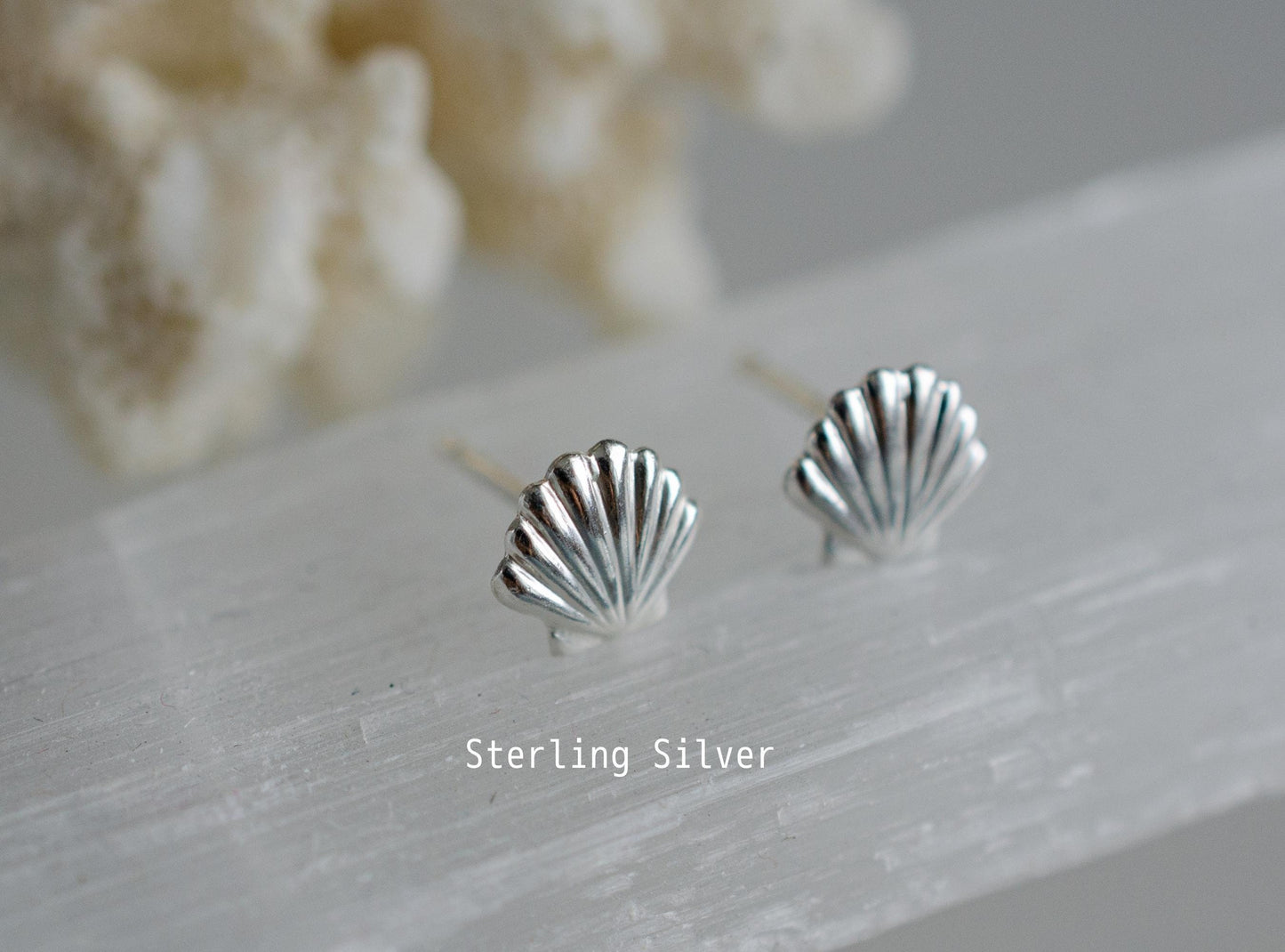 Seashell studs earrings