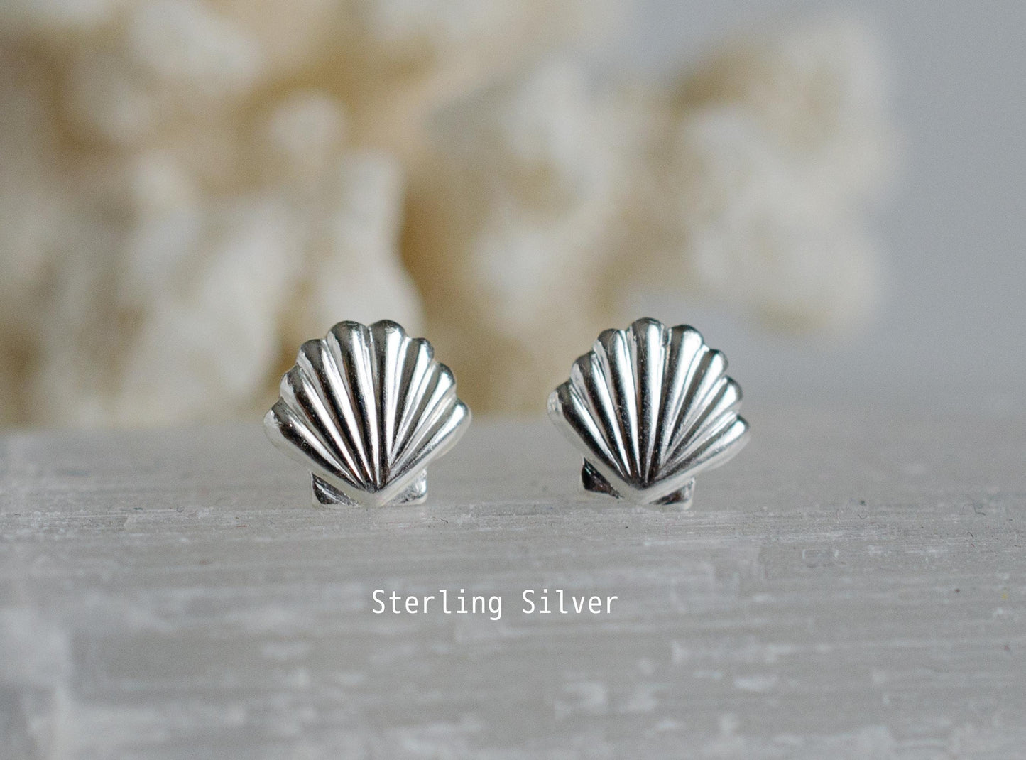 Seashell studs earrings