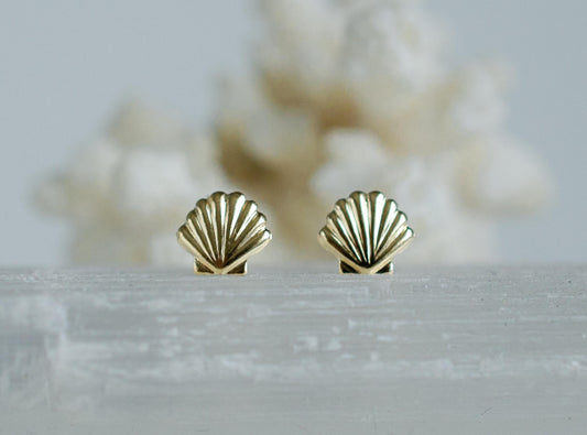 Seashell studs earrings